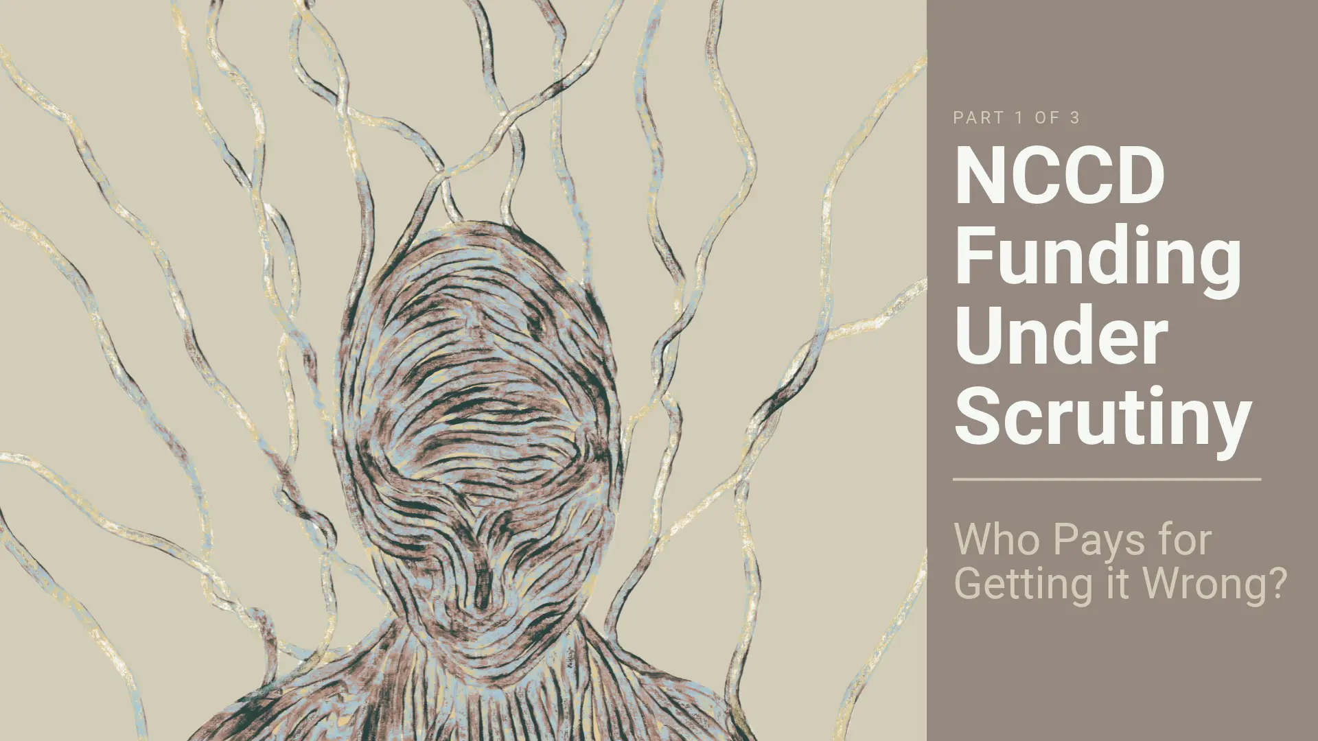 NCCD Funding Under Scrutiny: Who Pays for Getting It Wrong?