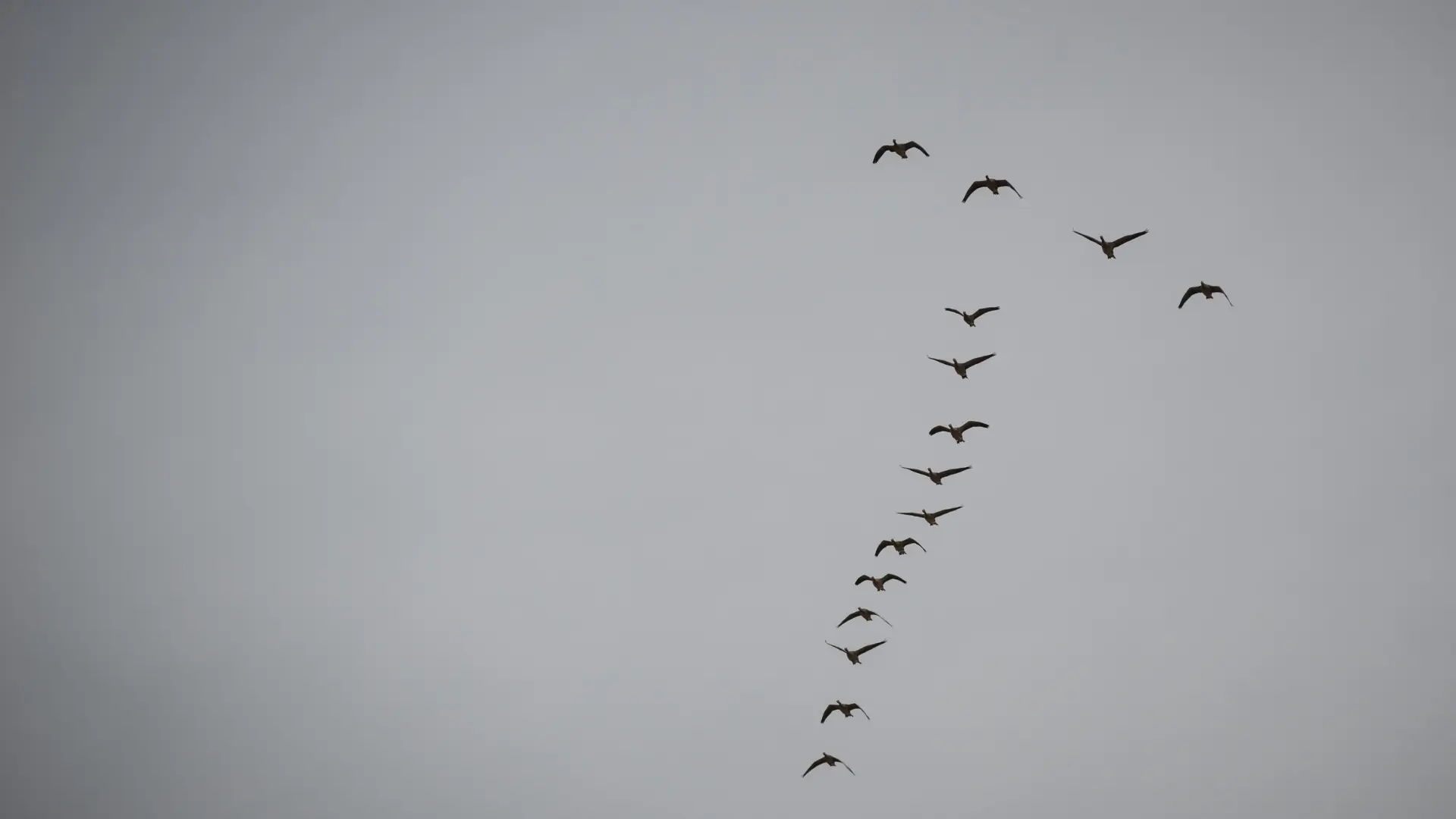 When School Strategy Outgrows the Leadership Structure
